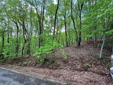 Buildable Lot in Beautiful Big Canoe - Priced to Sell! Here's on Big Canoe Golf Club - Cherokee in Georgia - for sale on GolfHomes.com, golf home, golf lot