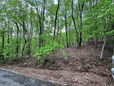 Buildable Lot in Beautiful Big Canoe & Priced to Sell! Here's on Big Canoe Golf Club - Cherokee in Georgia - for sale on GolfHomes.com, golf home, golf lot