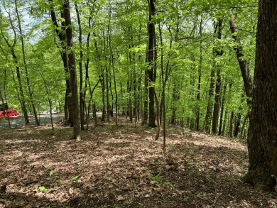 Buildable Lot in Beautiful Big Canoe & Priced to Sell! Here's on Big Canoe Golf Club - Cherokee in Georgia - for sale on GolfHomes.com, golf home, golf lot