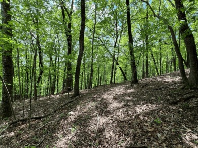 Buildable Lot in Beautiful Big Canoe & Priced to Sell! Here's on Big Canoe Golf Club - Cherokee in Georgia - for sale on GolfHomes.com, golf home, golf lot