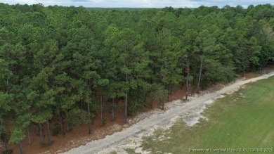 Build your dream home in the beautiful, gated community of on Deercroft Golf and Country Club in North Carolina - for sale on GolfHomes.com, golf home, golf lot