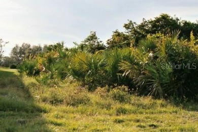 What a view! Both golf course and lake view will be yours to on Rotonda Golf and Country Club The Links Course in Florida - for sale on GolfHomes.com, golf home, golf lot