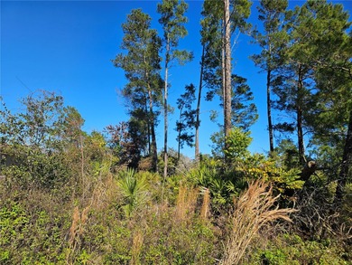 Fantastic opportunity to own a standard sized vacant lot design on The Grand Club - Pine Lakes Course in Florida - for sale on GolfHomes.com, golf home, golf lot