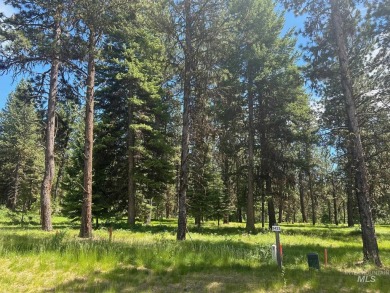 A lovely wooded mesa above the golf course and just south of the on Jug Mountain Ranch Golf Course in Idaho - for sale on GolfHomes.com, golf home, golf lot