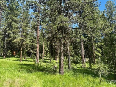 A lovely wooded mesa above the golf course and just south of the on Jug Mountain Ranch Golf Course in Idaho - for sale on GolfHomes.com, golf home, golf lot