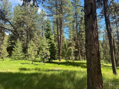 A lovely wooded mesa above the golf course and just south of the on Jug Mountain Ranch Golf Course in Idaho - for sale on GolfHomes.com, golf home, golf lot