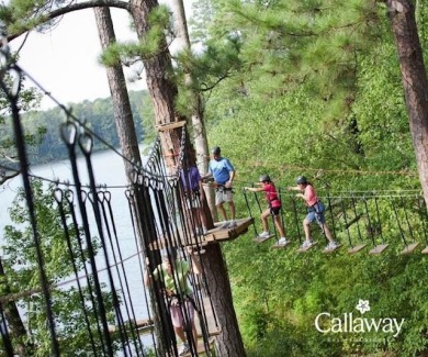 Golf course living at its finest! Enjoy the beautiful views of on Callaway Gardens Golf Resort  in Georgia - for sale on GolfHomes.com, golf home, golf lot