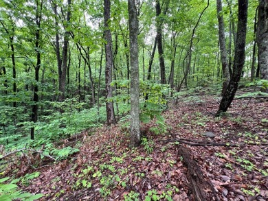 Build Your Mountain Retreat in Bent Tree. Don't miss this on Bent Tree Golf Course in Georgia - for sale on GolfHomes.com, golf home, golf lot