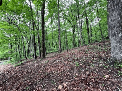 Build Your Mountain Retreat in Bent Tree. Don't miss this on Bent Tree Golf Course in Georgia - for sale on GolfHomes.com, golf home, golf lot