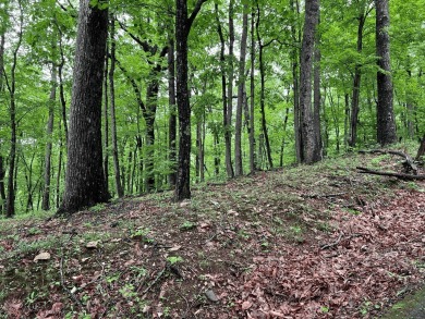 Build Your Mountain Retreat in Bent Tree. Don't miss this on Bent Tree Golf Course in Georgia - for sale on GolfHomes.com, golf home, golf lot
