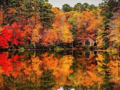 You will see why the neighborhood is called Skyview!  Beautiful on Callaway Gardens Golf Resort  in Georgia - for sale on GolfHomes.com, golf home, golf lot