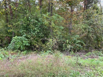 Wooded undeveloped land directly on Hwy 32. Three miles from US on Eagle Ridge Golf Course At Yatesville Lake State Park in Kentucky - for sale on GolfHomes.com, golf home, golf lot
