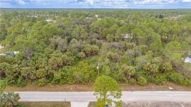 Nestled in a newly developed and rapidly growing area, this 0.51 on River Hall Country Club in Florida - for sale on GolfHomes.com, golf home, golf lot