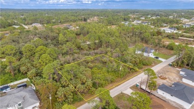 Nestled in a newly developed and rapidly growing area, this 0.51 on River Hall Country Club in Florida - for sale on GolfHomes.com, golf home, golf lot