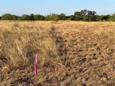 Amazing opportunity to purchase  .25 ac in a very nice section on White Bluff Resort - Old Course in Texas - for sale on GolfHomes.com, golf home, golf lot