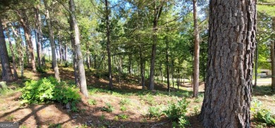 Welcome to 915 N Edgewater Trail-an exceptional homesite in the on Currahee Golf Club in Georgia - for sale on GolfHomes.com, golf home, golf lot