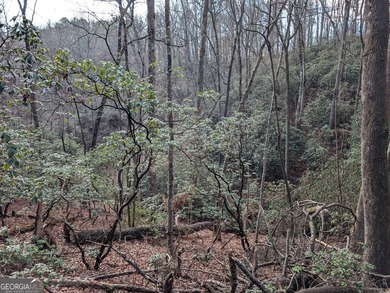 Prime location and exceptional value define this outstanding on Innsbruck Resort and Golf Club in Georgia - for sale on GolfHomes.com, golf home, golf lot