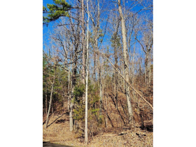 Middleton Estates is located 5 minutes off of 136, less than 10 on Trenton Golf Club in Tennessee - for sale on GolfHomes.com, golf home, golf lot