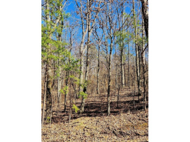 Middleton Estates is located 5 minutes off of 136, less than 10 on Trenton Golf Club in Tennessee - for sale on GolfHomes.com, golf home, golf lot