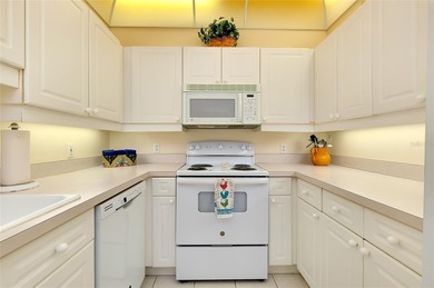 Welcome to 1102 Gondola Park Drive. This spacious home features on Capri Isle Golf Club in Florida - for sale on GolfHomes.com, golf home, golf lot