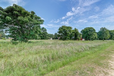 Discover the perfect canvas for your dream home in the Sigfield on Foxboro Golf Club in South Carolina - for sale on GolfHomes.com, golf home, golf lot