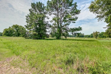 Discover the perfect canvas for your dream home in the Sigfield on Foxboro Golf Club in South Carolina - for sale on GolfHomes.com, golf home, golf lot