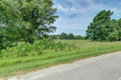 Discover the perfect canvas for your dream home in the Sigfield on Foxboro Golf Club in South Carolina - for sale on GolfHomes.com, golf home, golf lot