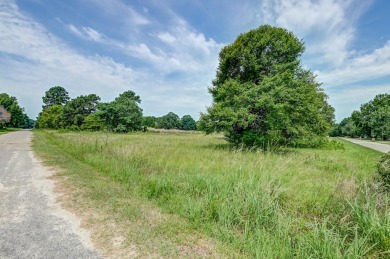 Discover the perfect canvas for your dream home in the Sigfield on Foxboro Golf Club in South Carolina - for sale on GolfHomes.com, golf home, golf lot