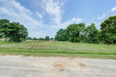 Discover the perfect canvas for your dream home in the Sigfield on Foxboro Golf Club in South Carolina - for sale on GolfHomes.com, golf home, golf lot