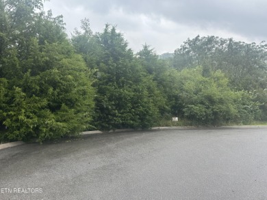 Really nice lot on Hole 10. Level, nice views of the gold course on Woodlake Golf Club in Tennessee - for sale on GolfHomes.com, golf home, golf lot