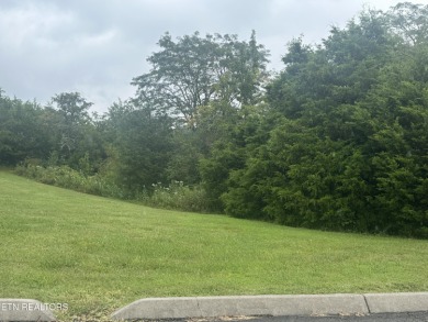Really nice lot on Hole 10. Level, nice views of the gold course on Woodlake Golf Club in Tennessee - for sale on GolfHomes.com, golf home, golf lot