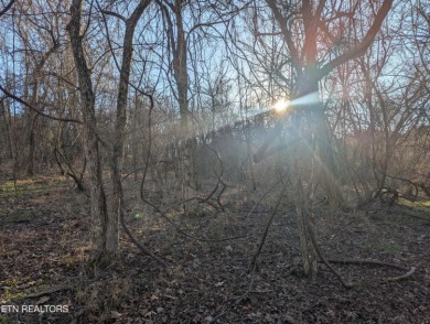 Opportunity knocks at 261 Ootsima Way, a scenic vacant parcel on Toqua Golf Course - Loudon County in Tennessee - for sale on GolfHomes.com, golf home, golf lot