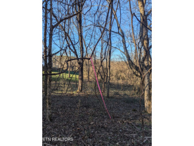 Opportunity knocks at 261 Ootsima Way, a scenic vacant parcel on Toqua Golf Course - Loudon County in Tennessee - for sale on GolfHomes.com, golf home, golf lot