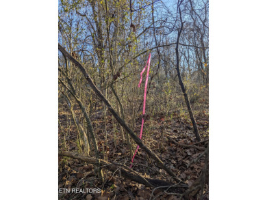 Opportunity knocks at 261 Ootsima Way, a scenic vacant parcel on Toqua Golf Course - Loudon County in Tennessee - for sale on GolfHomes.com, golf home, golf lot