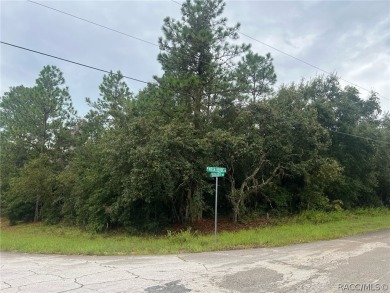 BUILD YOUR DREAM HOME ON THIS BEAUTIFUL CORNER LOT IN PINE RIDGE on Black Diamond Ranch Golf Course in Florida - for sale on GolfHomes.com, golf home, golf lot