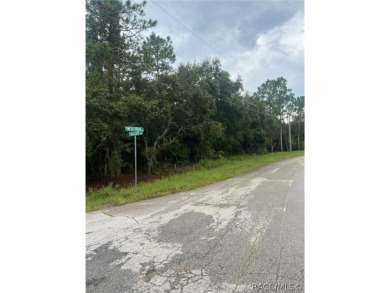 BUILD YOUR DREAM HOME ON THIS BEAUTIFUL CORNER LOT IN PINE RIDGE on Black Diamond Ranch Golf Course in Florida - for sale on GolfHomes.com, golf home, golf lot