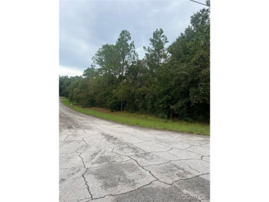 BUILD YOUR DREAM HOME ON THIS BEAUTIFUL CORNER LOT IN PINE RIDGE on Black Diamond Ranch Golf Course in Florida - for sale on GolfHomes.com, golf home, golf lot