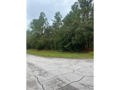 BUILD YOUR DREAM HOME ON THIS BEAUTIFUL CORNER LOT IN PINE RIDGE on Black Diamond Ranch Golf Course in Florida - for sale on GolfHomes.com, golf home, golf lot