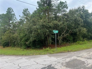 BUILD YOUR DREAM HOME ON THIS BEAUTIFUL CORNER LOT IN PINE RIDGE on Black Diamond Ranch Golf Course in Florida - for sale on GolfHomes.com, golf home, golf lot