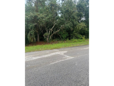 BUILD YOUR DREAM HOME ON THIS BEAUTIFUL CORNER LOT IN PINE RIDGE on Black Diamond Ranch Golf Course in Florida - for sale on GolfHomes.com, golf home, golf lot