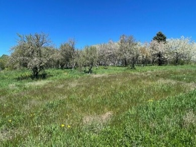 Beautiful Building Site with a hilltop view and orchard on Lakeside Links Golf Course in Michigan - for sale on GolfHomes.com, golf home, golf lot