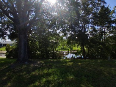 Your Golf Village Getaway--Owner Financing!
Discover the charm on The Grand Club - Pine Lakes Course in Florida - for sale on GolfHomes.com, golf home, golf lot