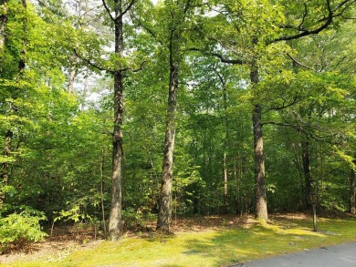 BEAUTIFUL LOT IN GATED GOLF COURSE COMMUNITY IN THE NC on Chatuge Shores Golf Course in North Carolina - for sale on GolfHomes.com, golf home, golf lot
