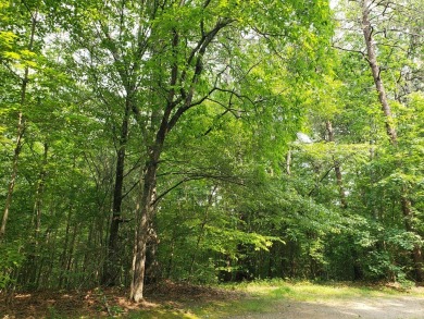 BEAUTIFUL LOT IN GATED GOLF COURSE COMMUNITY IN THE NC on Chatuge Shores Golf Course in North Carolina - for sale on GolfHomes.com, golf home, golf lot