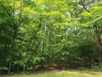 BEAUTIFUL LOT IN GATED GOLF COURSE COMMUNITY IN THE NC on Chatuge Shores Golf Course in North Carolina - for sale on GolfHomes.com, golf home, golf lot
