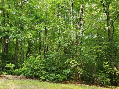 BEAUTIFUL LOT IN GATED GOLF COURSE COMMUNITY IN THE NC on Chatuge Shores Golf Course in North Carolina - for sale on GolfHomes.com, golf home, golf lot