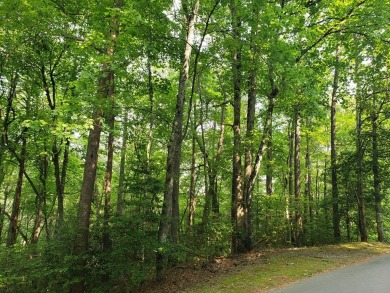 BEAUTIFUL LOT IN GATED GOLF COURSE COMMUNITY IN THE NC on Chatuge Shores Golf Course in North Carolina - for sale on GolfHomes.com, golf home, golf lot