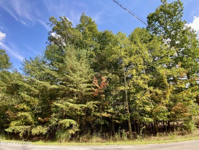 Prime 0.37-acre buildable lot near the golf course in Fairfield on  in Tennessee - for sale on GolfHomes.com, golf home, golf lot