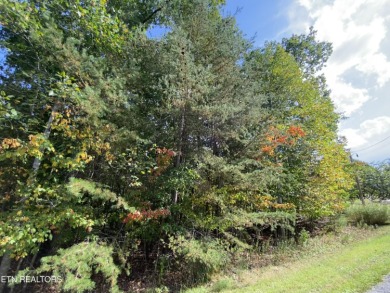Prime 0.37-acre buildable lot near the golf course in Fairfield on  in Tennessee - for sale on GolfHomes.com, golf home, golf lot