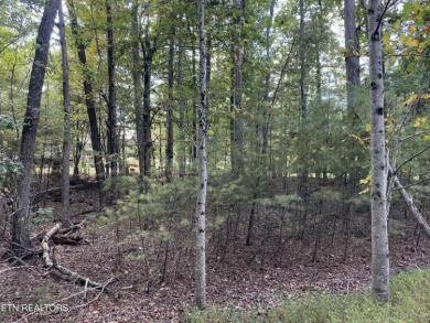 Prime 0.37-acre buildable lot near the golf course in Fairfield on  in Tennessee - for sale on GolfHomes.com, golf home, golf lot